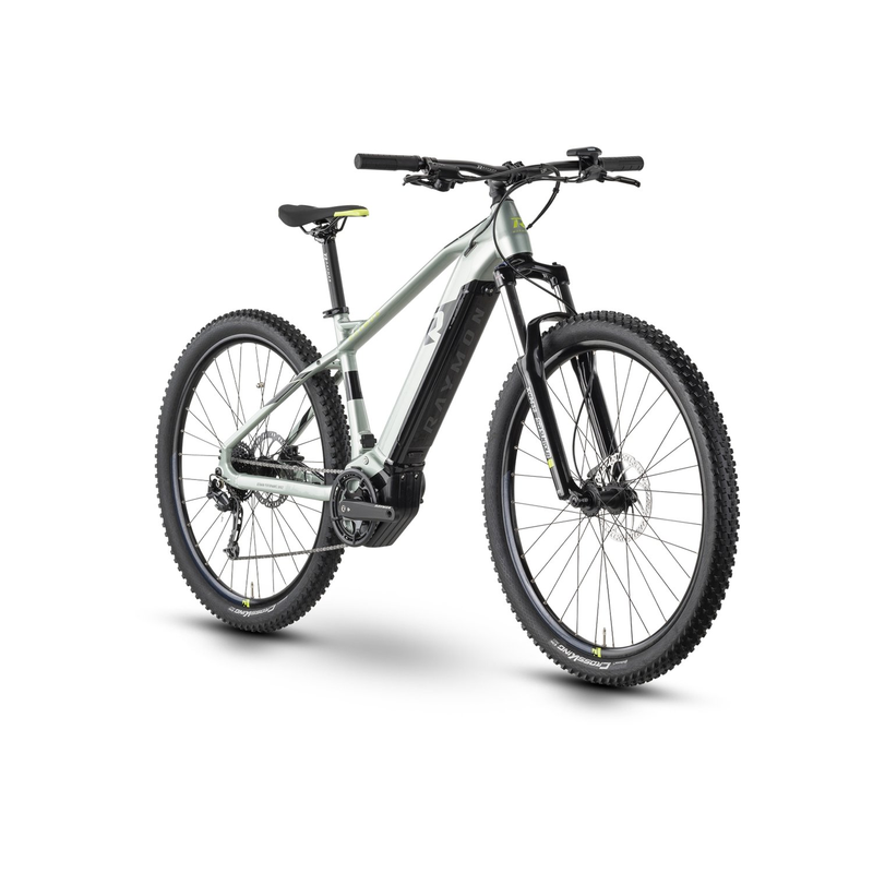 Raymon HardRay E 5.0 - 630 Wh - 29 Zoll - Diamant