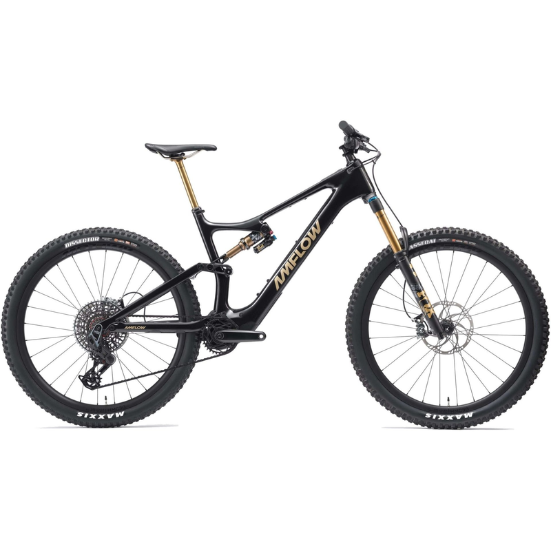 Amflow PL Carbon Pro - 800 Wh - 29 Zoll - Fully