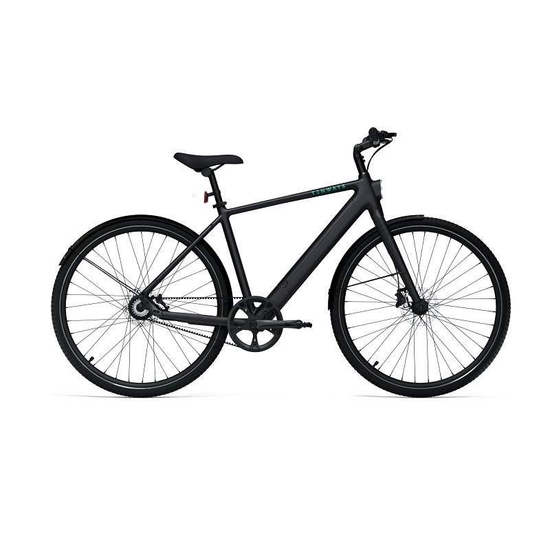 Diamant 365 - Acera - 250 Wh - 28 Zoll - Diamant