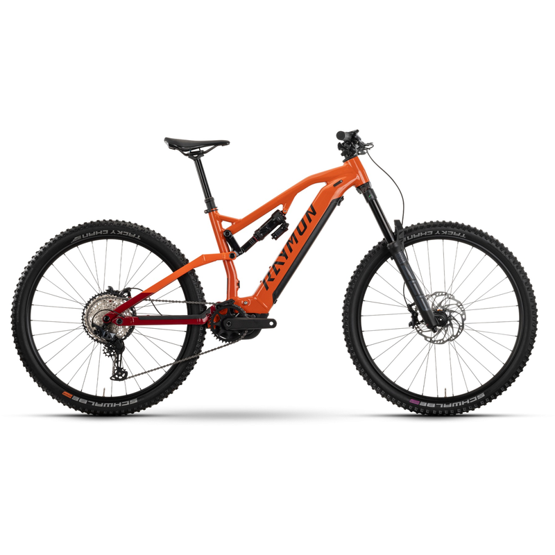 Raymon Trailray 170 Pro - 800 Wh - 29 Zoll - Fully