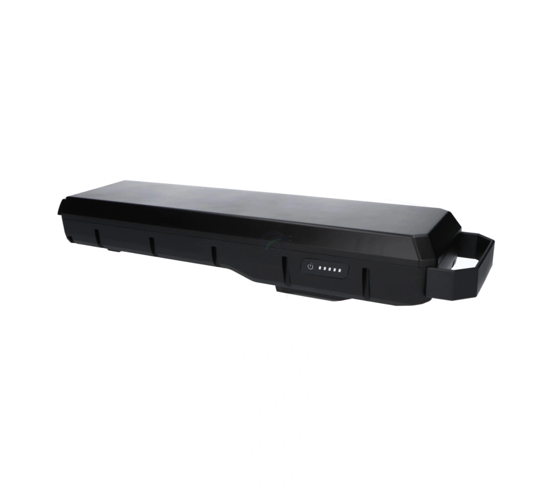Top-Chance Akku: Bosch PowerPack 700 | Performance/Active |