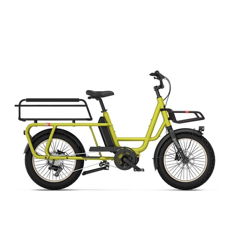 Benno Bikes RemiDemi XL 9D CX EVO 2 + Family Package - 545 Wh - 20 Zoll - Longtail - 2026