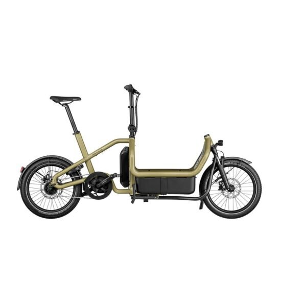 Riese und Müller Carrie city - 725 Wh - 20 Zoll - Long John – Image 2