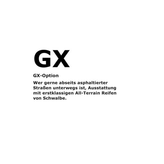 Riese und Müller Multicharger2 Mixte GT vario - 750 Wh - 26 Zoll - Longtail – Image 2